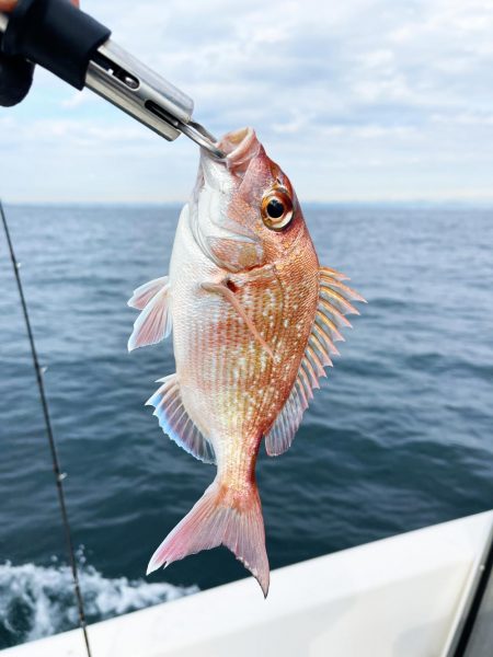 今日はタイラバ釣り